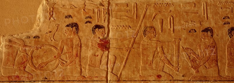 Relief from the tomb of Ankhmahor