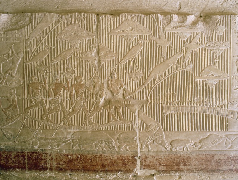 A scene in relief in the tomb of the vizier Mereruka showing a papyrus thicket teeming with animals and birds