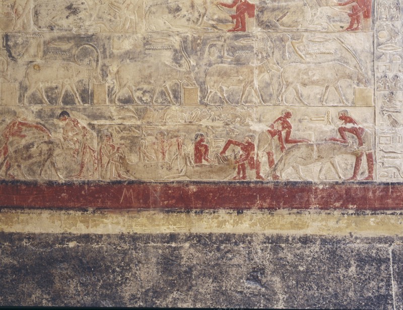 A scene in relief in the tomb of Mereruka