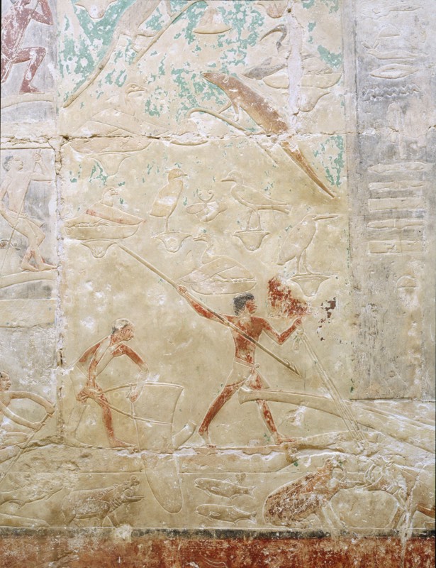 A relief in the tomb of Princess Sesh seshet Idut at Saqqara showing hunting hippopotamus from papyrus reed boats