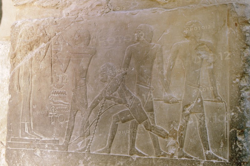 A relief in the tomb of Princess Sesh seshet at Saqqara showing statues being dragged on sleds from the workshops to the tombs