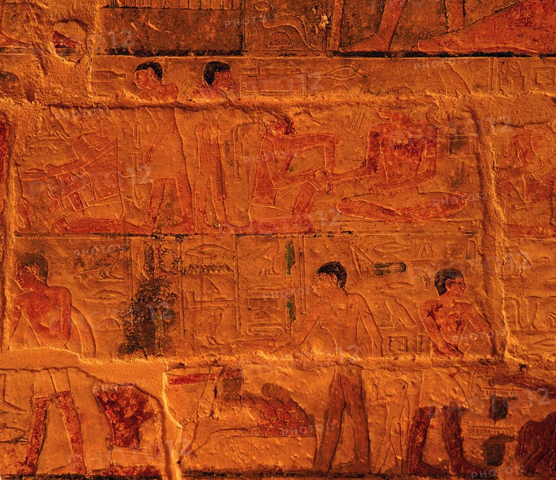 Reliefs in the tomb of Ankhmahor at Saqqara