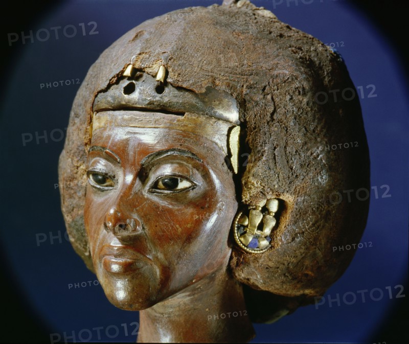 The head of Queen Tiye, wife of Amenophis III and mother of Akhenaten