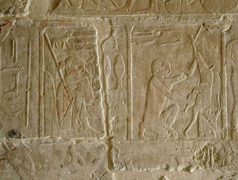 A relief in the tomb of Kagemni depicting a man butchering an animal, perhaps an antelope
