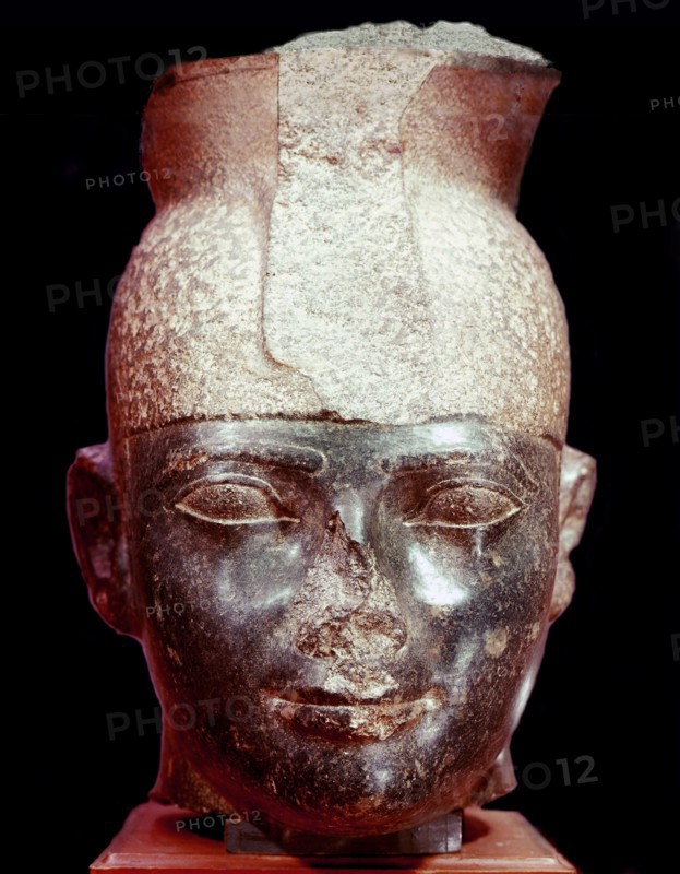 The head of king Taharka