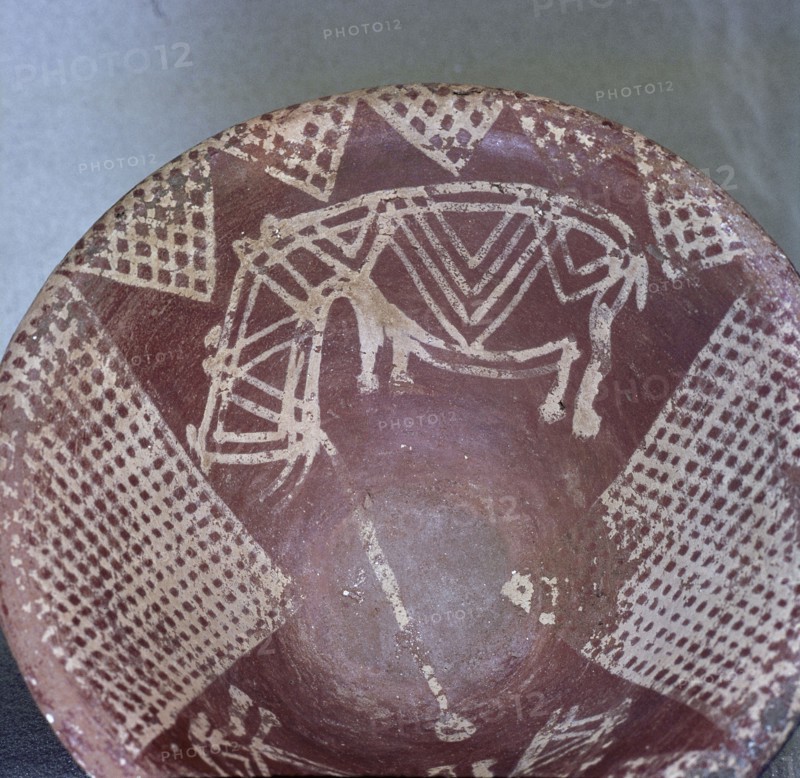 A dish with a design of stylised hippopotami