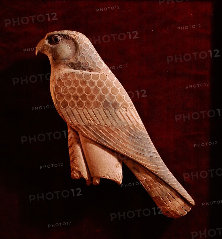 Horus Falcon