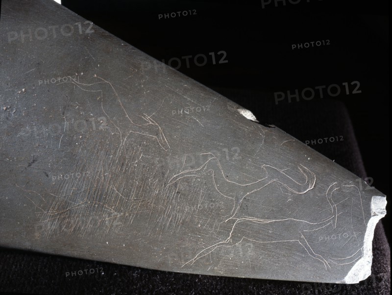 Cosmetic palette with finely incised representations of desert animals