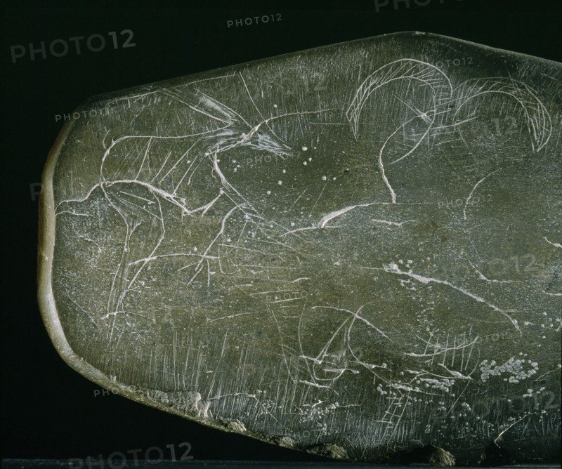 Cosmetic palette with finely incised representations of desert animals
