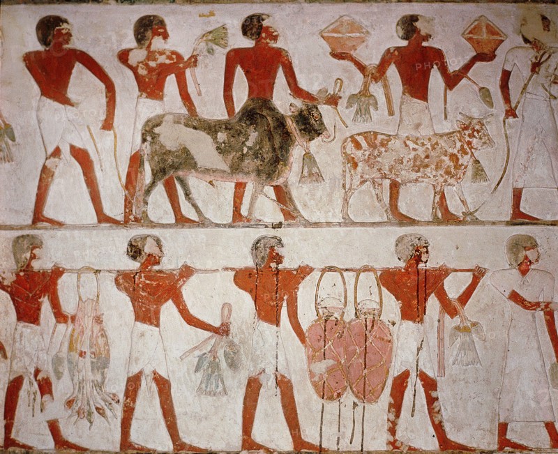 A detail of a wall painting in the tomb of Rekhmire with presentation of foreign tribute
