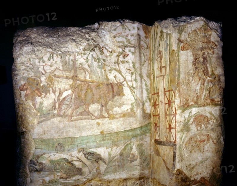 Painting from the Wardian tomb, depicting a saqia (sakkiyeh) or water wheel driven by two oxen