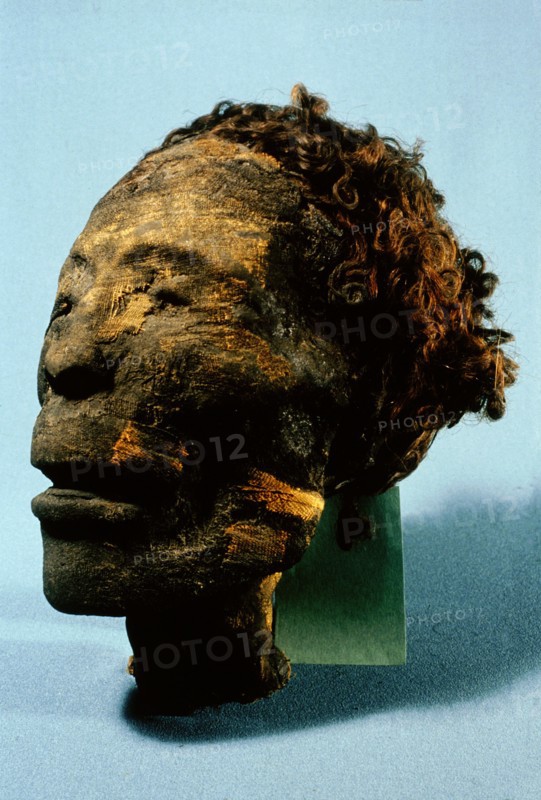 Head of mummy of a 25 35 year old male