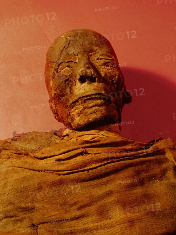 Mummy of a 30 40 year old male