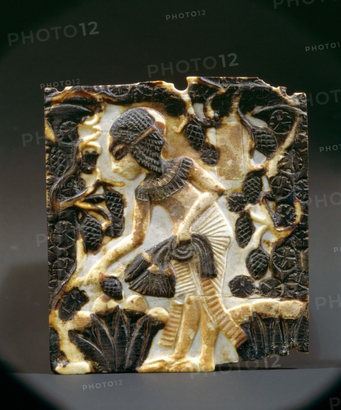 An ivory panel from a box with a depiction of an Amarna princess picking lotus flowers and grapes