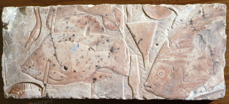 A fragment of a relief
