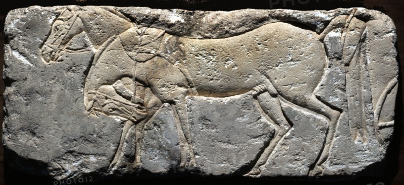 A fragment of a relief