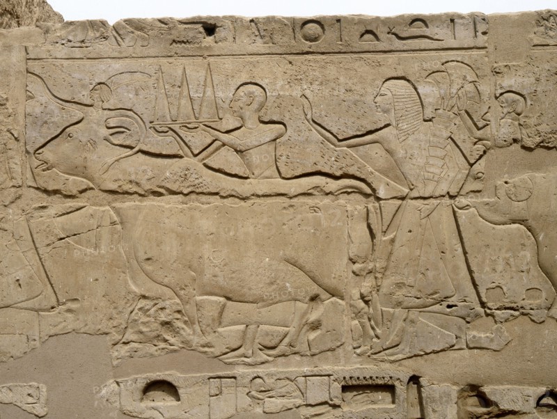 Relief from a processional colonnade of Ramses II in his temple at Luxor, showing part of procession with offerings at the annual festival of Opet