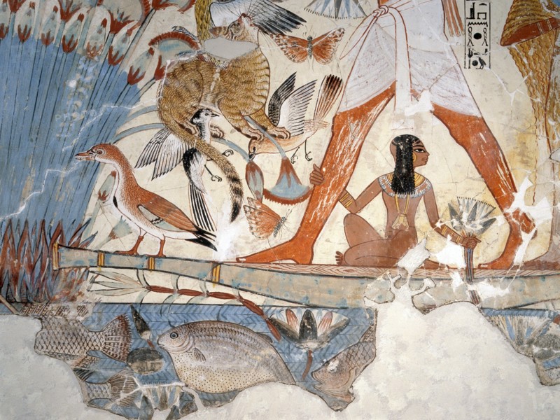 A detail of a painting from the tomb of Nebamun showing him standing on a reed boat hunting birds in the papyrus marshes using throwsticks and three decoy herons