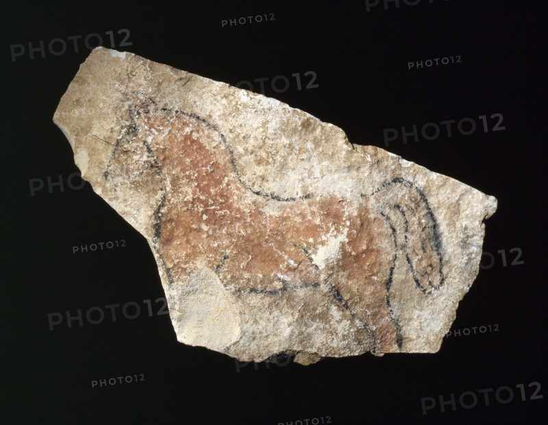 An artists practice sketch of a horse, found at Deir el Medina