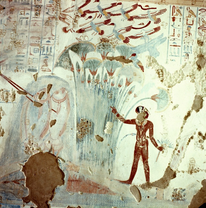 Detail of a tomb painting showing gathering of papyrus and lotus