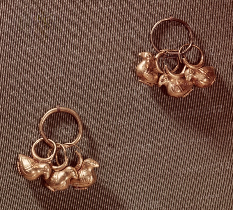 A pair of earrings with bird shaped pendants