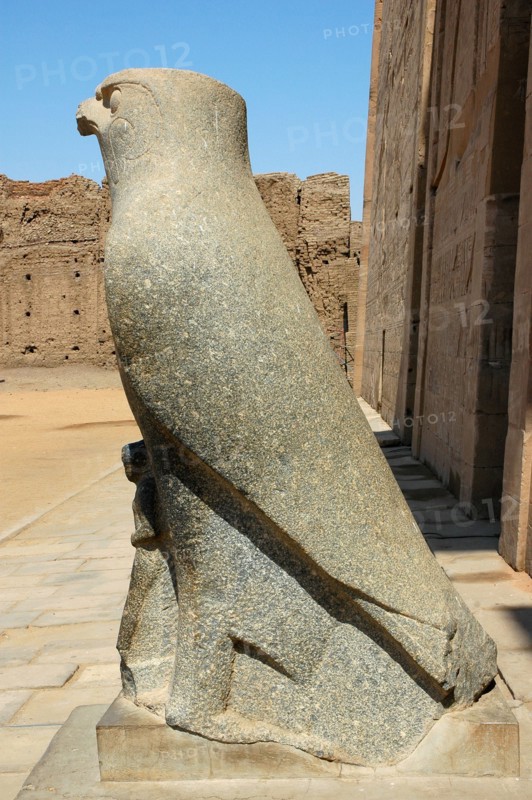One of the two giant black granite falcons, the sacred bird of Horus, which flank the Pylon entrance to the Court of Offerings