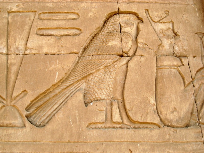 Hieroglyph of a falcon, the sacred bird of Horus, on the eastern outside wall of the Sanctuary of Horus