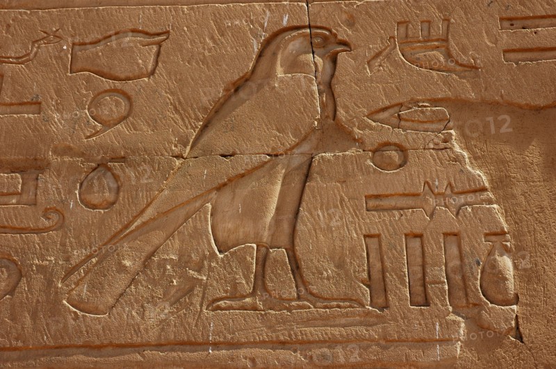 Hieroglyph of a falcon, the sacred bird of Horus, on the outside wall of the Pylon