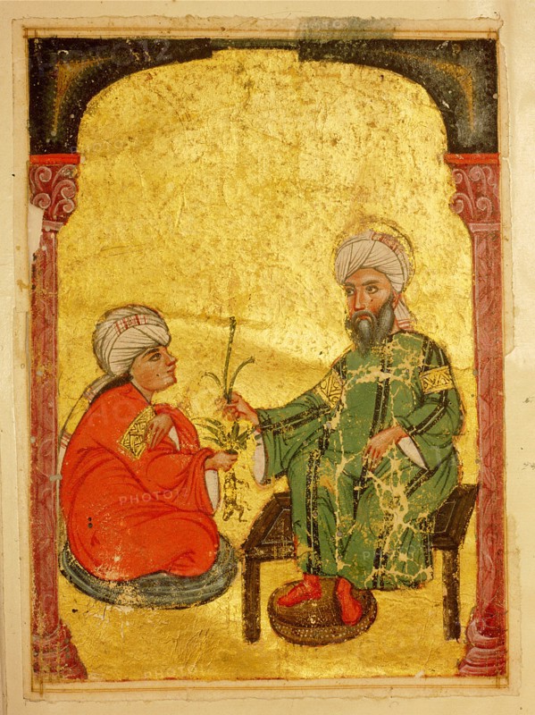 A scene from a 13th century Arabic version of Dioscorides Materia Medica