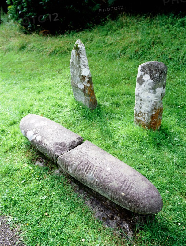 A group of stones inscribed with Ogham characters, found near Colaiste Ide, Co
