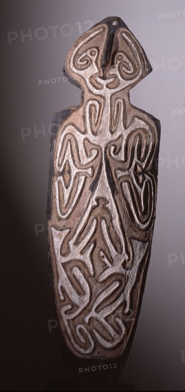 Asmat shield