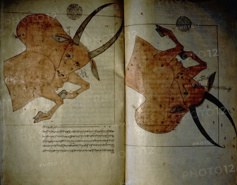 Illustration from a copy of The Book of Fixed Stars, written originally by the great Muslim astronomer Adb al Rahman Umar al Sufi