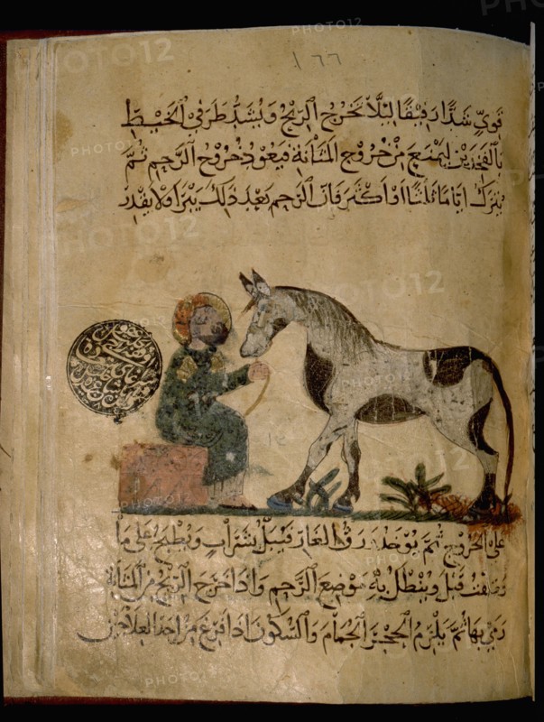 Illustration from Nihayat al Sul, a Mamluk manual on horsemanship