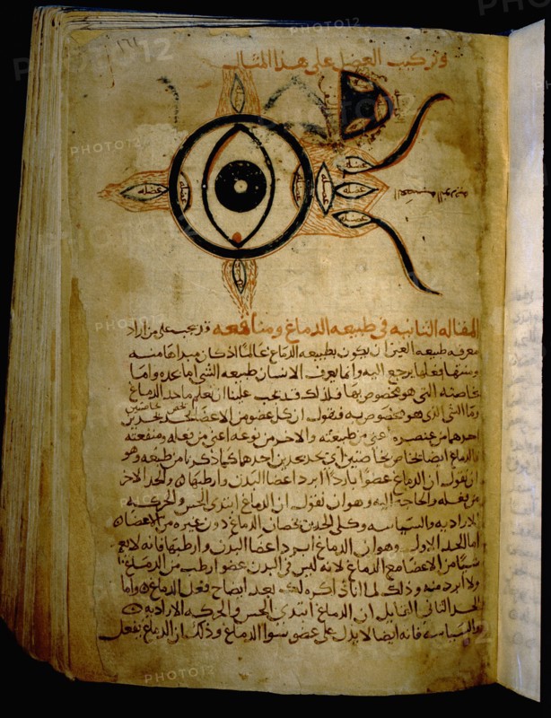 Islamic medical manuscript
