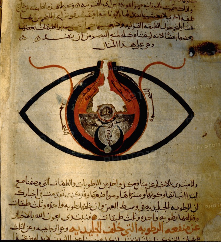 Anatomy of the eye from the islamic medical manuscript of al Mutadibi
