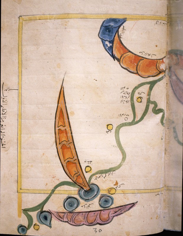 Map of Egypt by the Muslim cartographer al Idrisi, showing the Nile, the desert and dunes