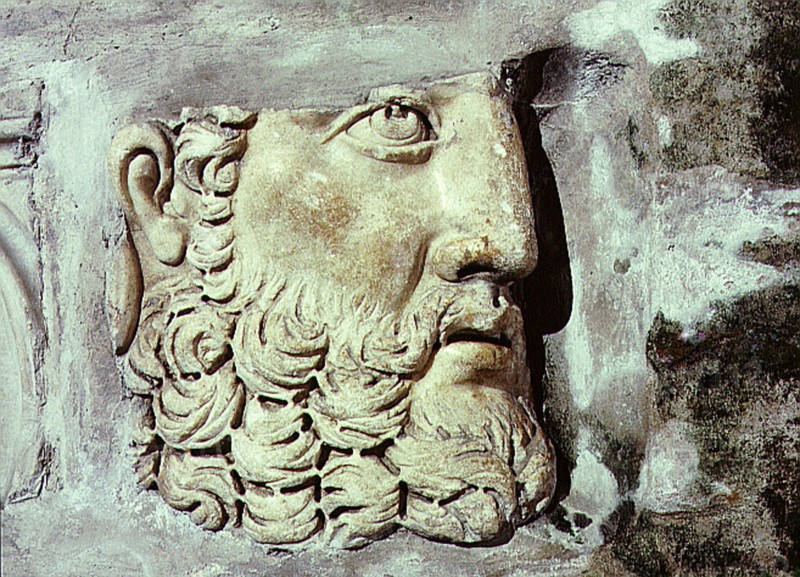 Head