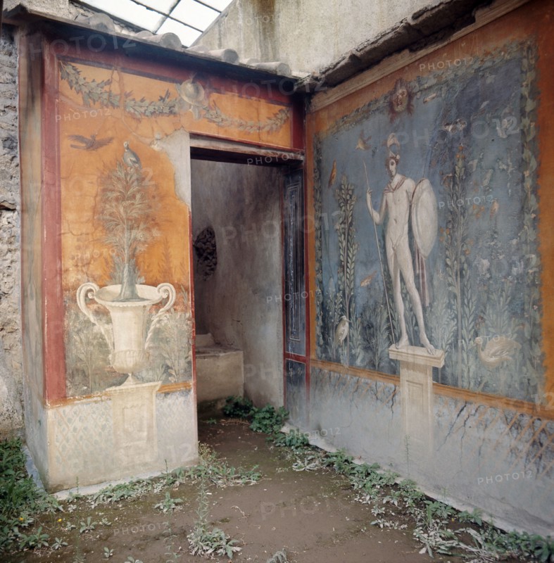 Fresco from the House of the Venus Marina