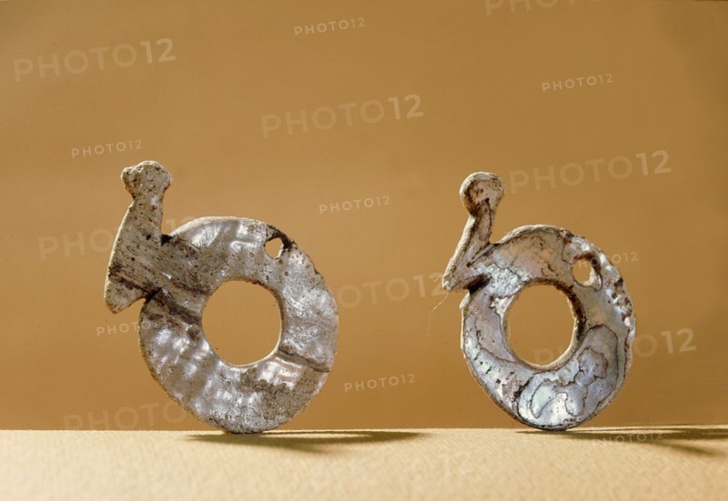 Shell earrings