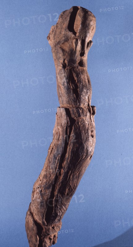 A root carving possibly representing the great snake