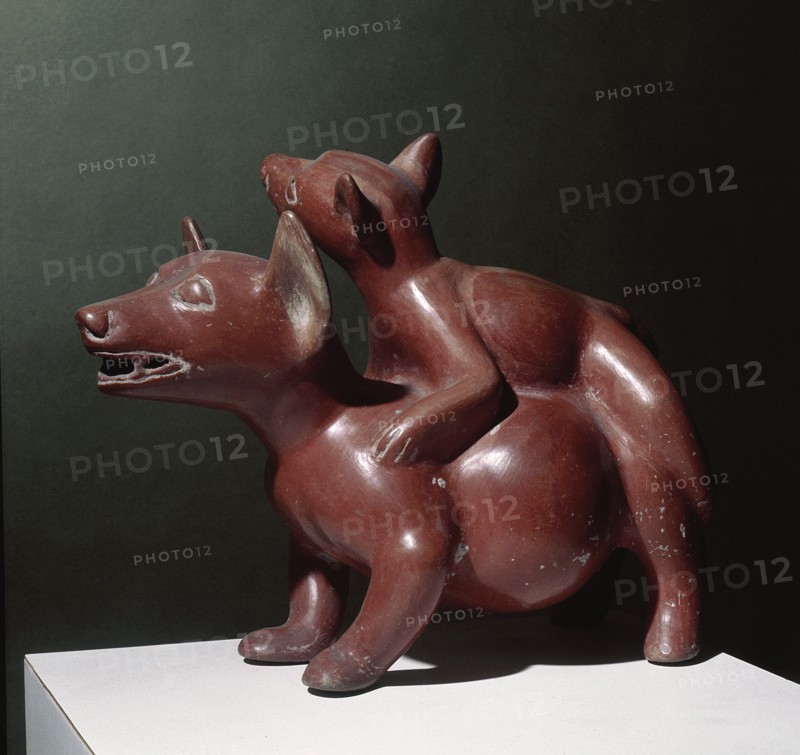 Colima pottery figure of a pair of dogs copulating