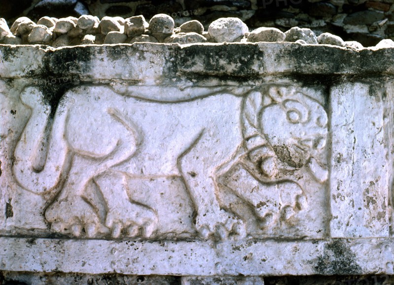 View of a bas relief Jaguar forming part of the enclosing decorative frieze on the northern side of the Pyramid of Quetzalcoatl