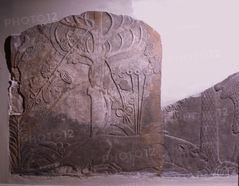 Lion and lioness in a garden