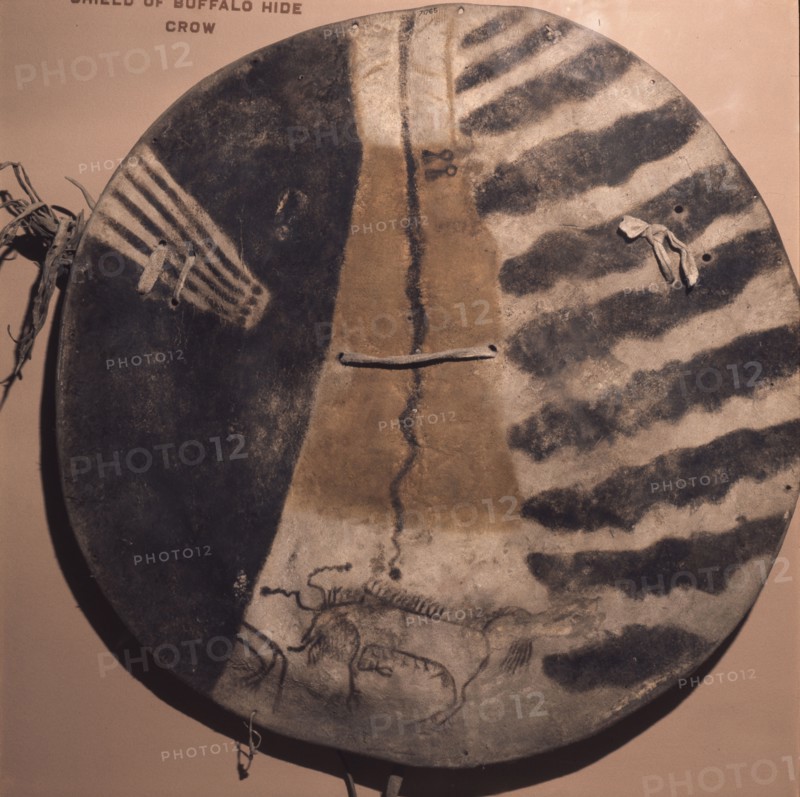 Crow vision painting on a war shield