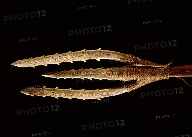 Most Central and Eastern Eskimos trapped migrating salmon or charr with stone weirs, then speared the fish with leisters