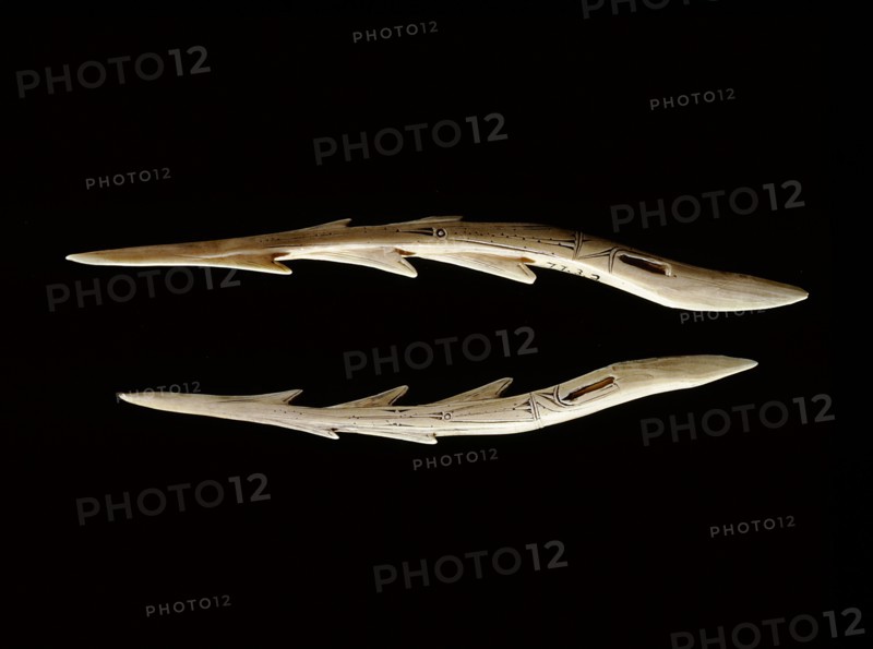 Ivory points which were probably attached to the heads of bird spears