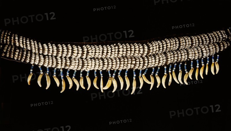 Womans belt made from caribou incisors, beads and the canine teeth of a large mammal, possibly a grizzly bear