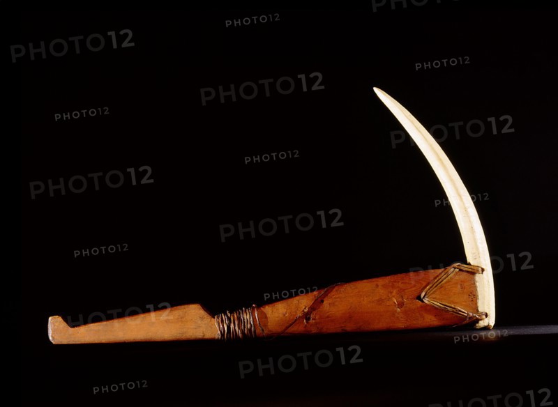 Pick made from a walrus tusk point lashed to a wooden handle