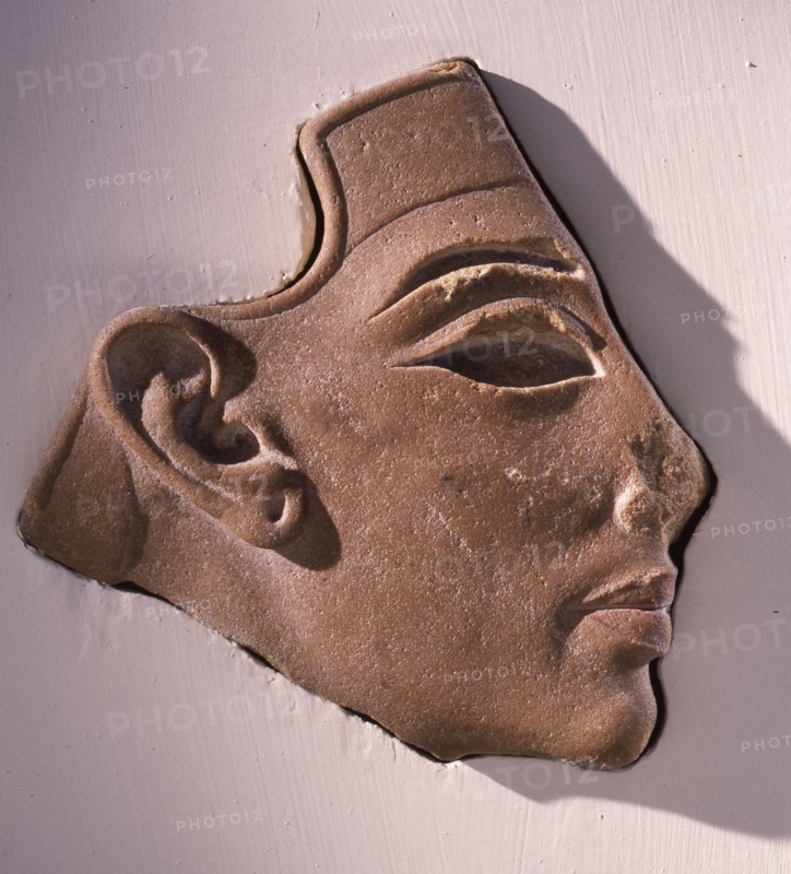 Fragment of an Amarna head