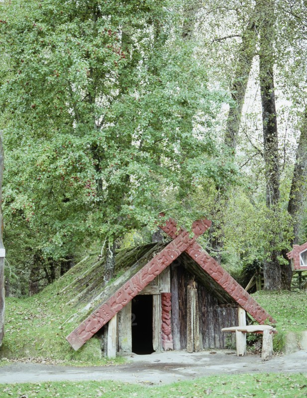 The house of the tohunga (chief) Tuhoto at the village of Te Wairoa, which was buried by the eruption of the volcano Mt